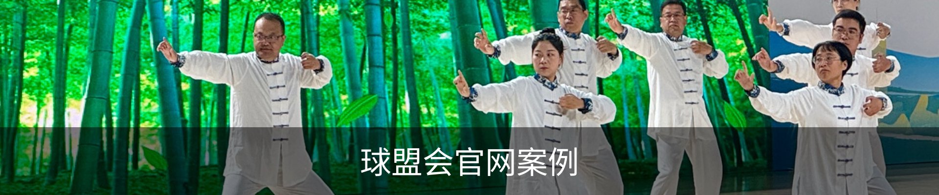 球盟会官网案例